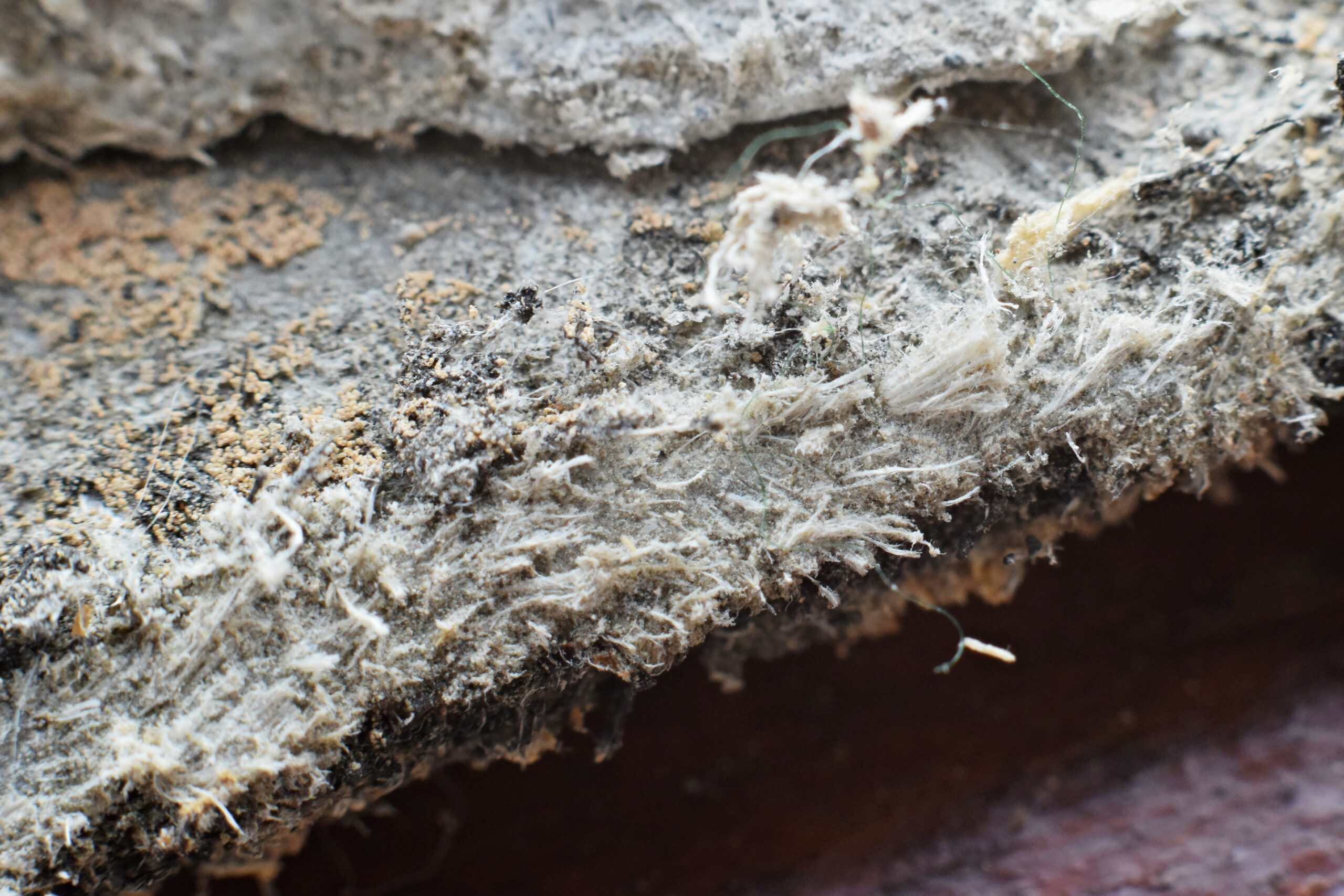 asbestos mitigation